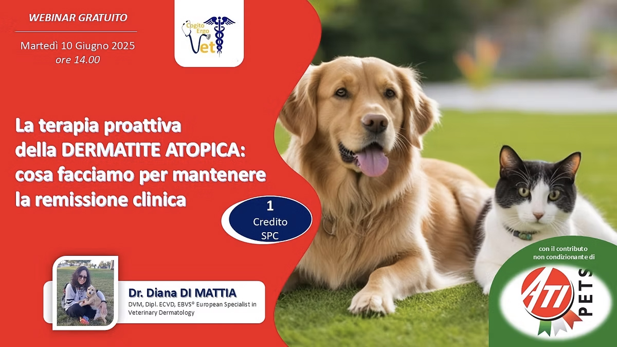 SLIDE INTERNA GALLO.jpg